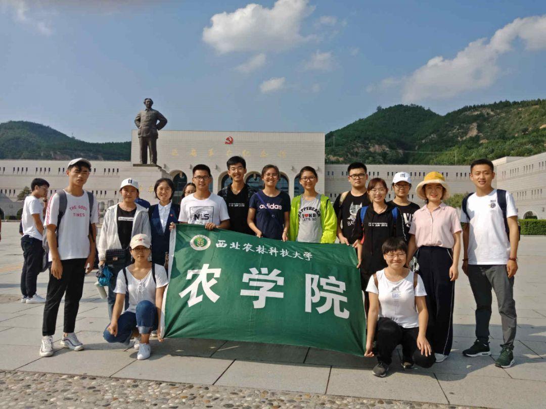 看冬捕、喝鱼汤、穿林海……澳门旅游团伊春尽享热“雪”沸腾